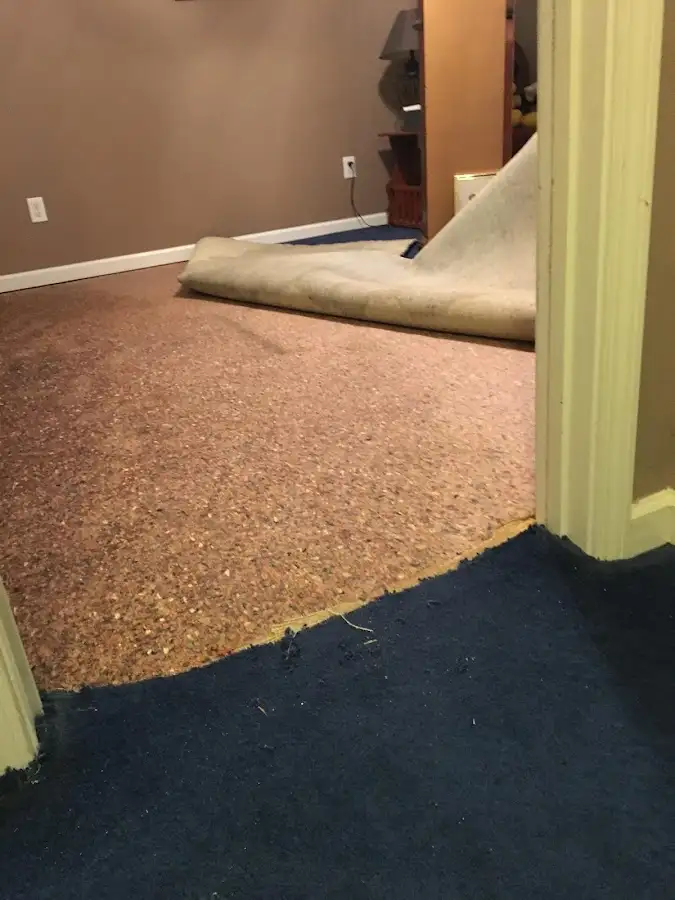 Carpet pad removal revealing water damage during Drying & Dehumidification in Cortlandt