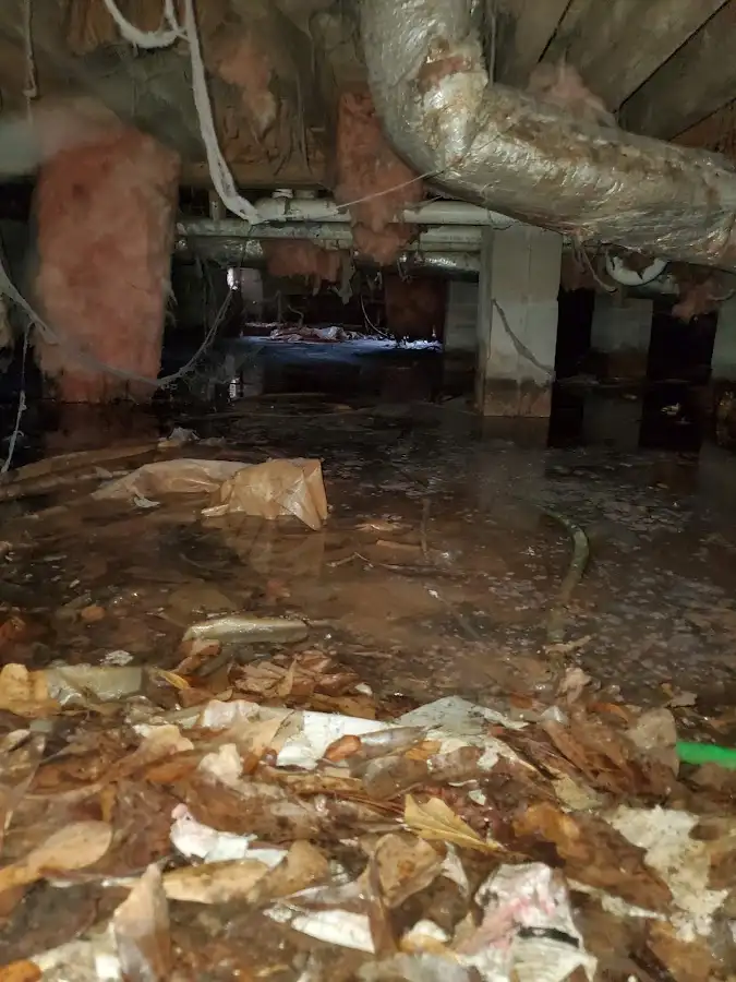 Crawl space flood assessment for Leak Detection & Repair in Cortlandt